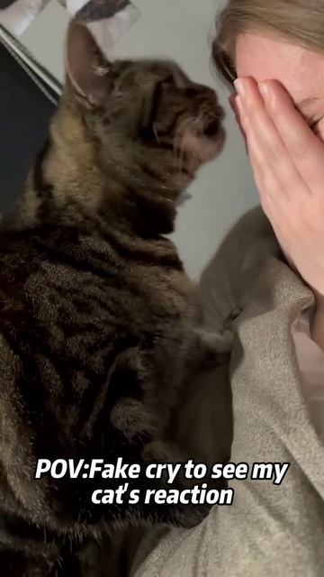 Crying in front of my cat to see her reaction 😭 #cats #shorts