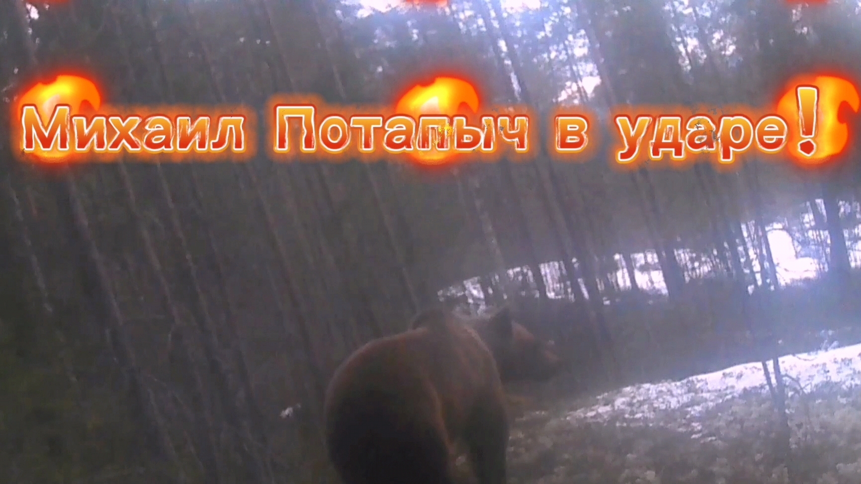 МИША ПОТЕРСЯ! КАМЕРУ ВЕРНИ!?