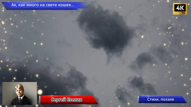 Сергей Есенин - Ах как много на свете кошек…