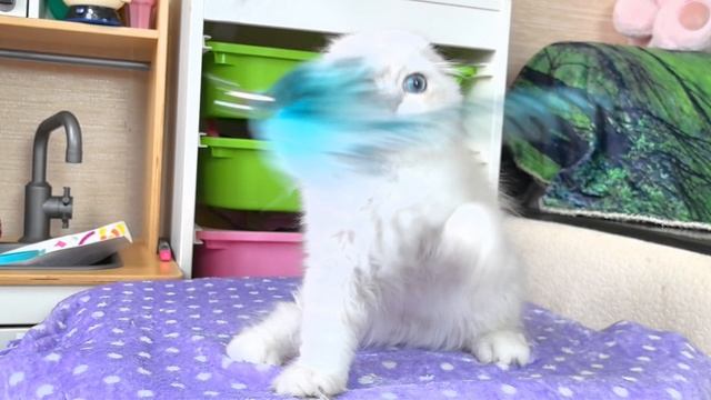 VID_20250516_135120.mp4