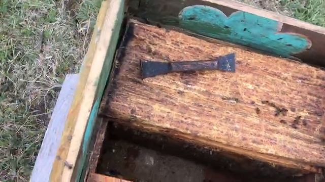 СМОТРИМ ДОМИКИ НА ПАСЕКЕ В ДЕРЕВНЕ ВМЕСТЕ