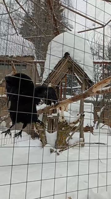 Гоша🤩