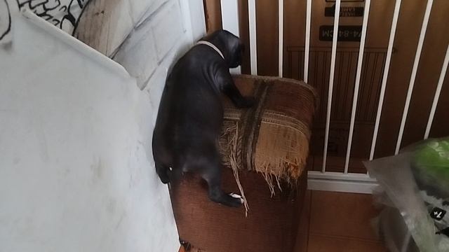 скалолазка