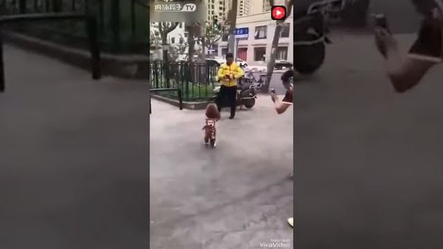 Ох милота