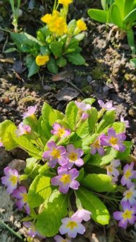 Доброе прекрасное утро!