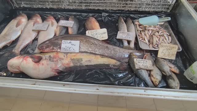 ШОК ОТ ЦЕН 🔥 ПОКУПАЕМ КАРАСЕЙ. Анапа
