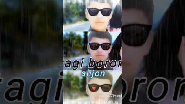 alijon таги борон