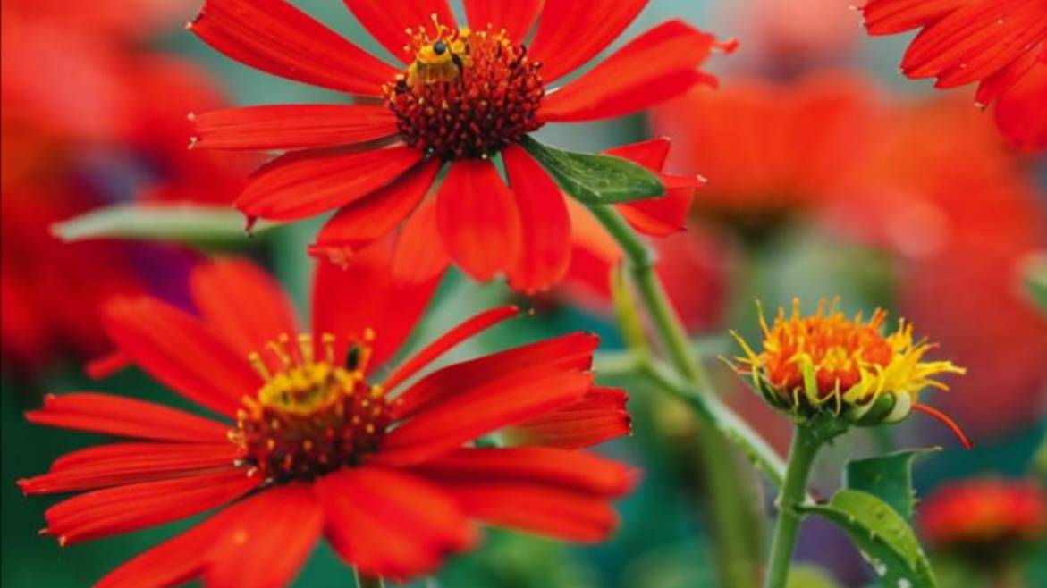 Открытки с добрым утром пожеланиями добра на весь день 🌼