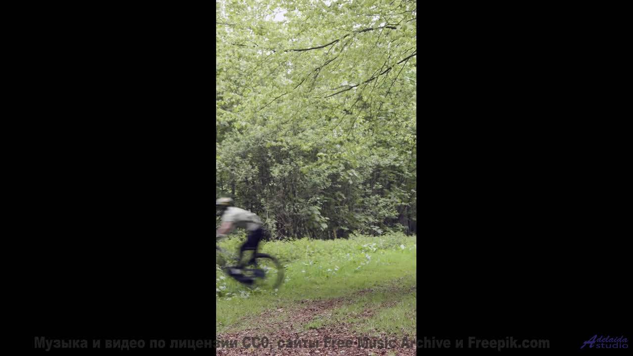 Поля вспыхивают красками, когда играет такой ритм - Le Monstre -- Podington Bear -- Said Lion To Lam