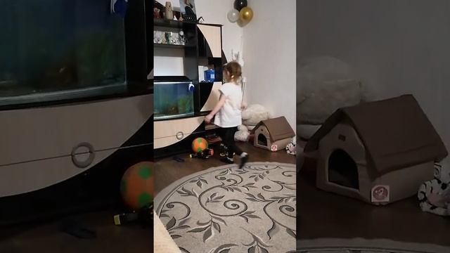 Ариша рулит и бьёт мяч