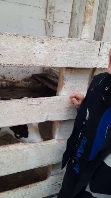 Всем привет! С вами я, Ярик!!!