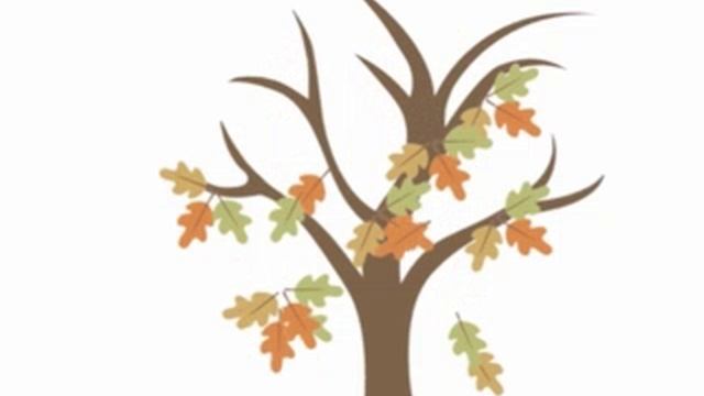 VID_20250517_205109_762.mp4