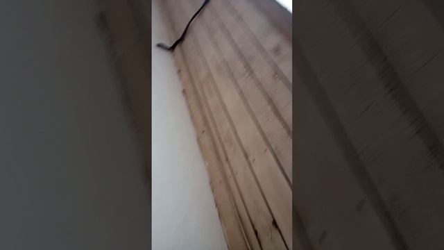 VID_20250518_201310.mp4