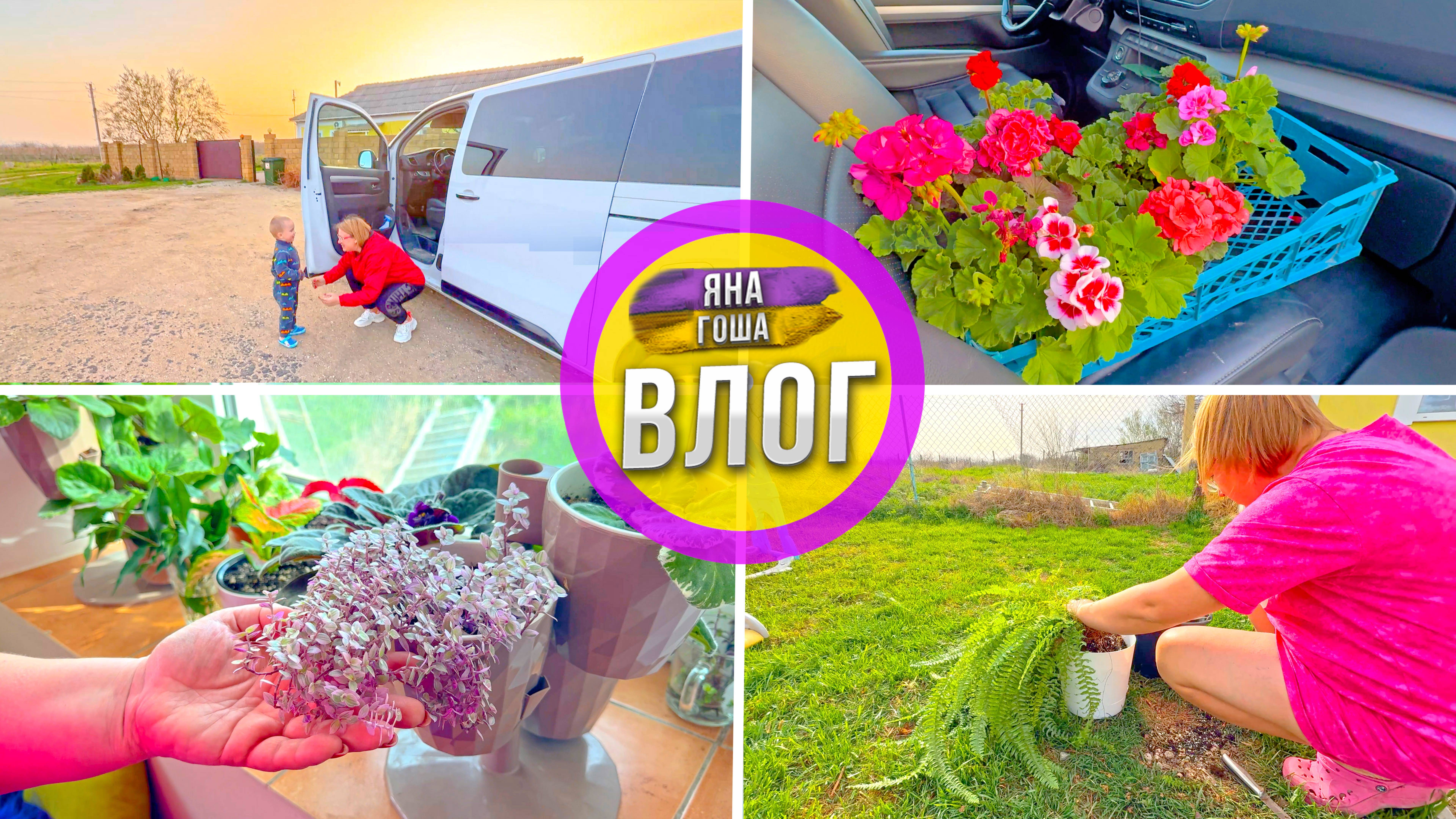 Живем в Крыму! Купила герань - аж 10 штук! Размножаю папортник. Макарошки и пюрешка? Ксилофон.