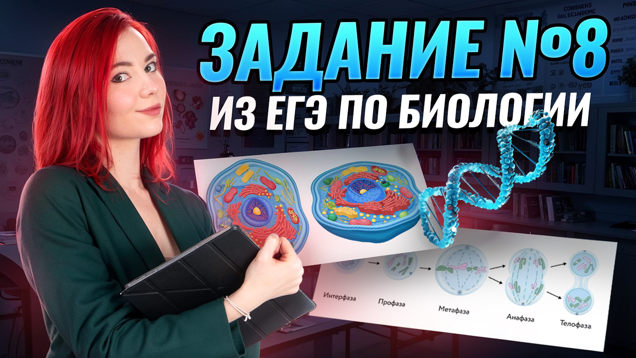 Разбор 8 задания из ЕГЭ по биологии 2025 | Умскул