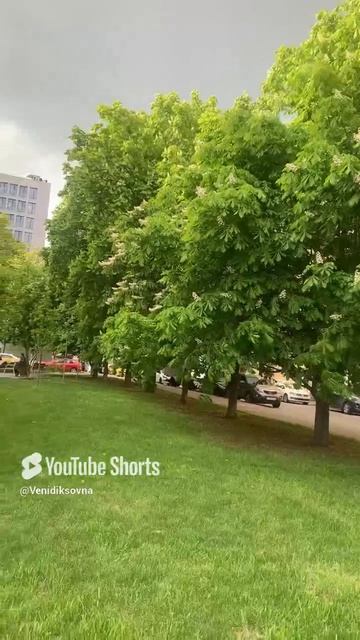 Цитаты. Помогайте людям, но не ценой собственного благополучия.