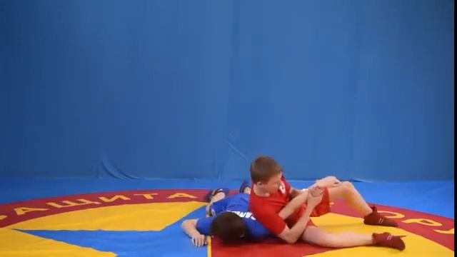 самбо в гто