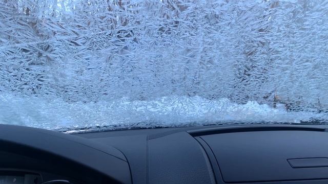 Собака как средство самообороны.(ИМХО)
