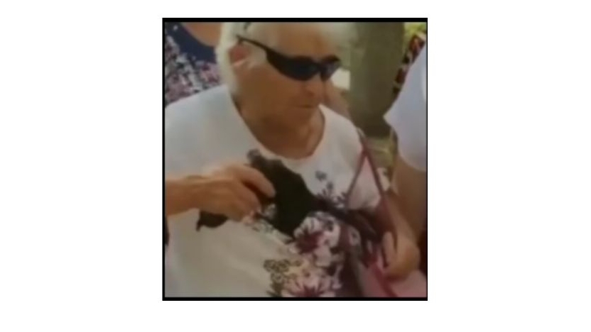 анимешники!!!!