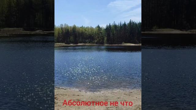 Абсолютное не что Роберт Адамс