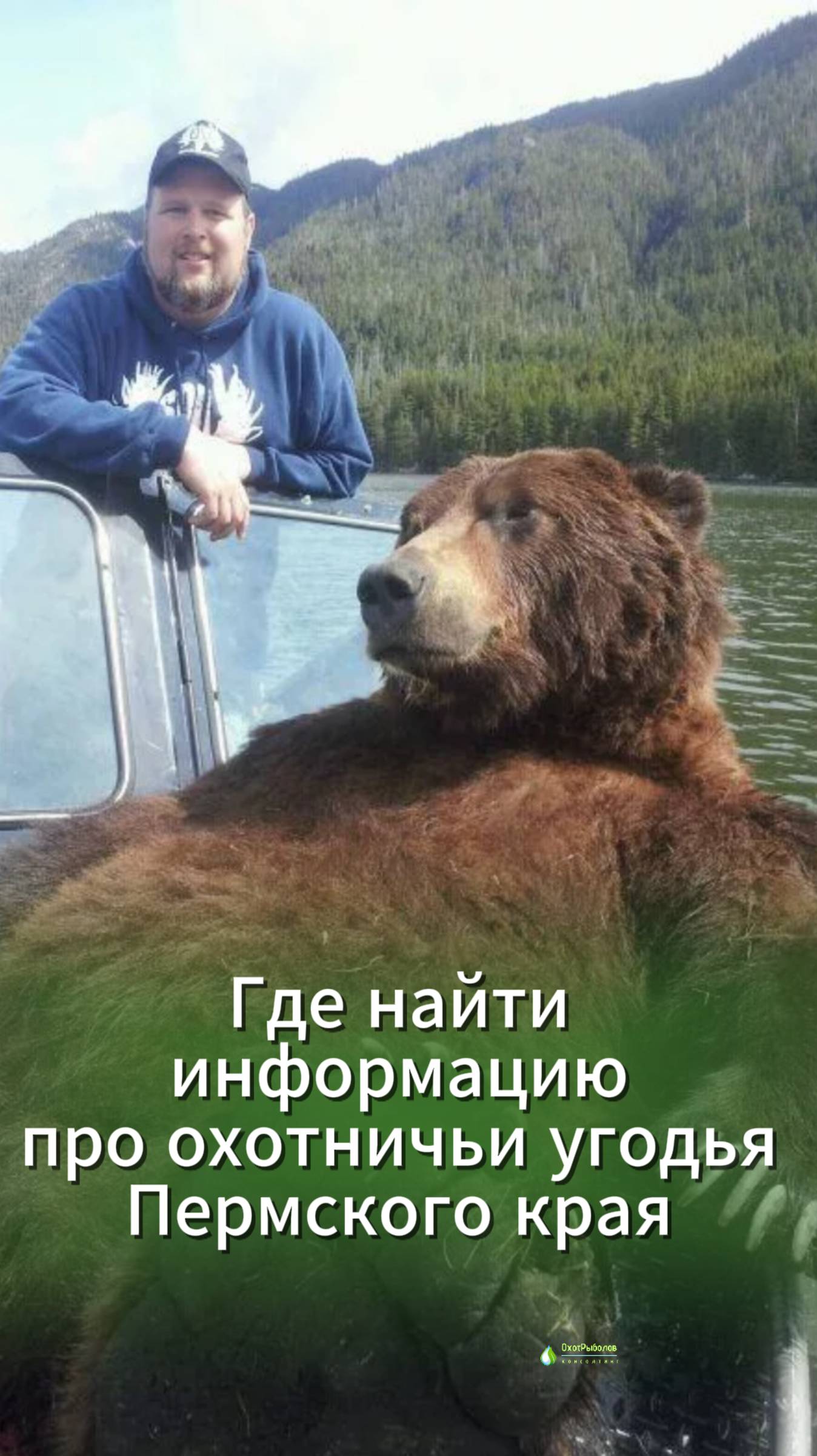 Гид по охотничьим угодьям Пермского края: лучшие карты и ресурсы для профессионалов