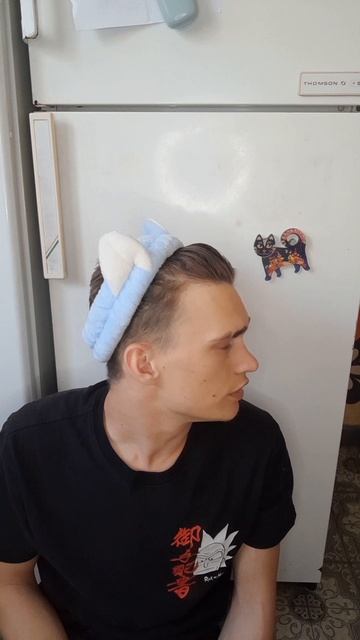 Домовой и Кот