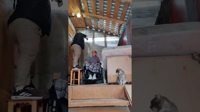 Помогаем птичкам строить дом 🏠