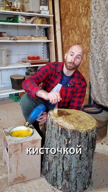 Как сушить пеньки и спилы