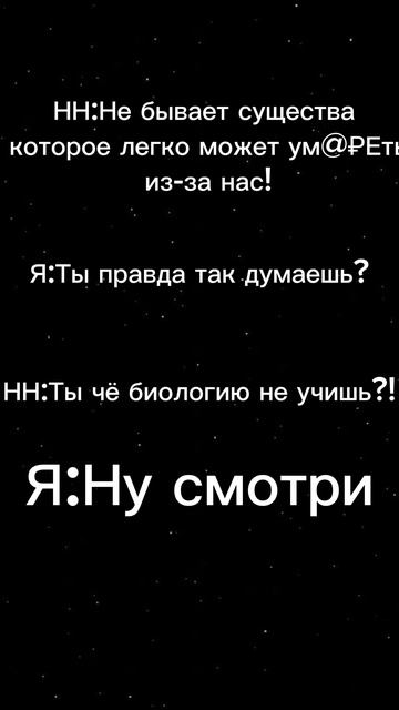 Попугаи🦜🦜🦜