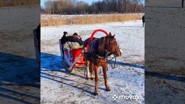 VID_20250518_030400_024.mp4