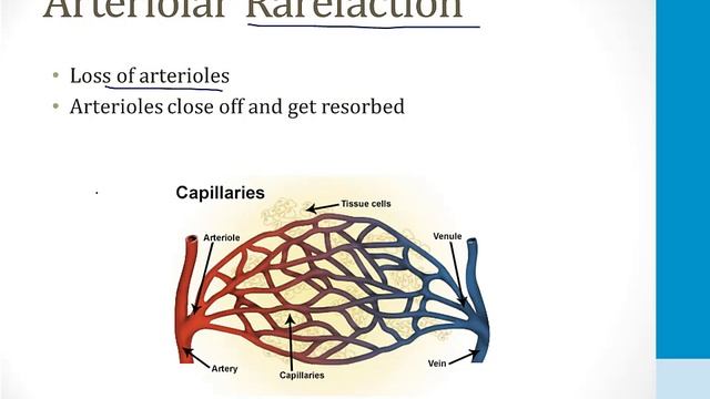 Cardiology - 8. Hypertension - 1.Hypertension atf