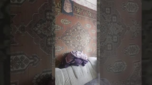 Фильм 1_1_1.mp4