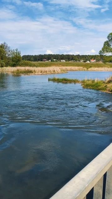 🟢 Ранова перед дождём