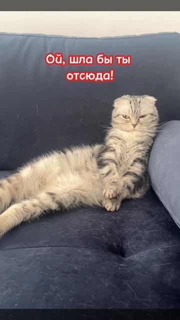 Парадокс