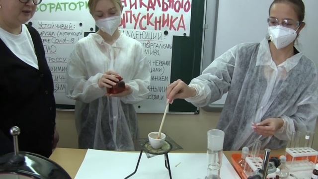 Токаревская Татьяна Александровна, учитель химии, г. Красногорск