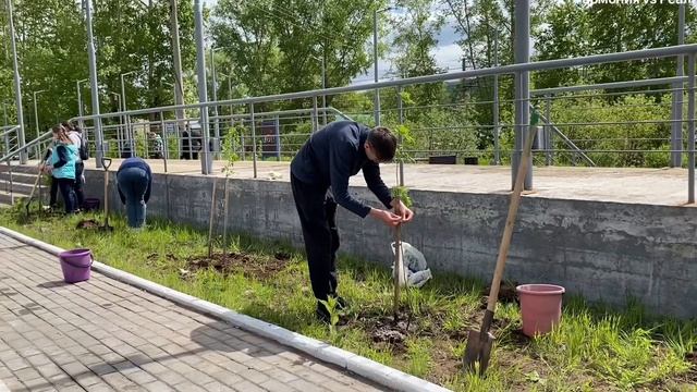 «Посади дерево - подари планете жизнь»