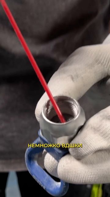 Как соплодержатель живёт уже 7 лет?