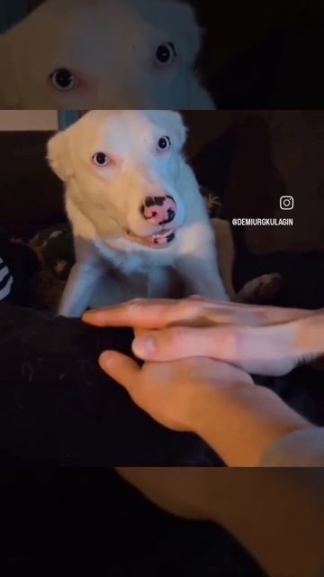 ...😂.....