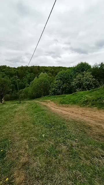 В Подмосковье