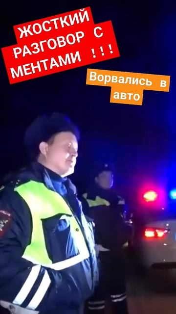 ЖОСТКИЙ ОТПОР ГАЙЦАМ/ ВЛОМИЛИСЬ В АВТО/ НЕМЕЛИ И ЗАИКАЛИСЬ/ Свердловская обл  Богдановичи