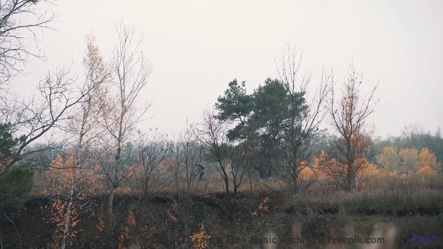 Музыка, которая открывает порталы в другие измерения! - Dos Caras (XXXVII) -- opo -- Estudios Indige