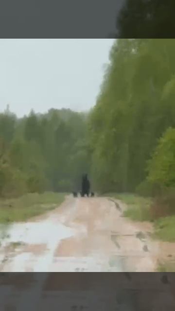1000823158.mp4