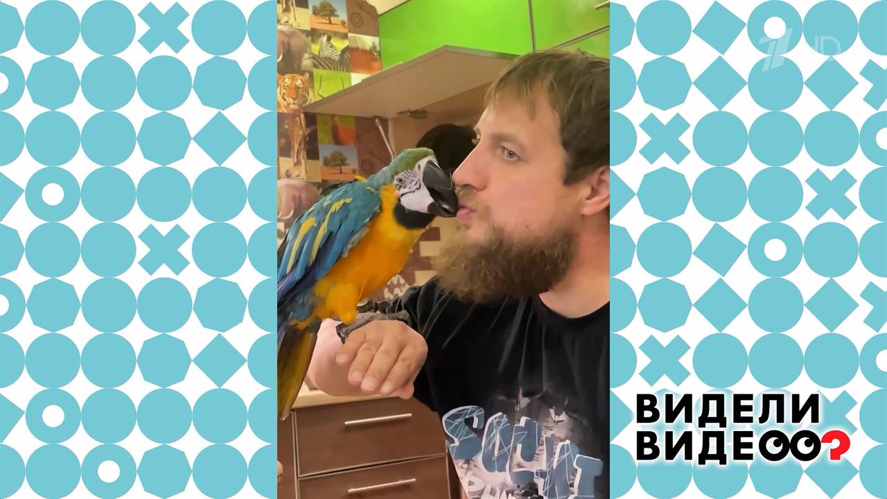Свободу попугаю. Видели видео? Фрагмент выпуска от 18.05.2025