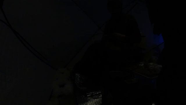 Ночь ФЗ