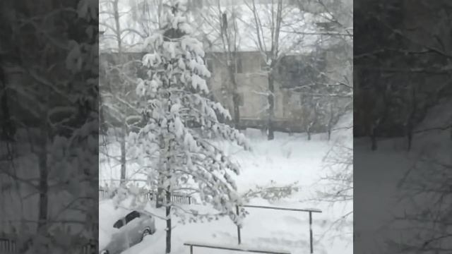 снежок 😋