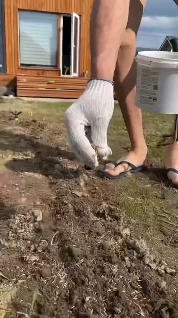 Посмотри, они сами засеяли газон и что получилось #shortvideo #газон #сад #дача #жизньвдоме #садовод