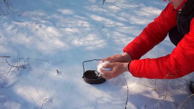 24 ЧАСА В ЛЕСУ -В ПОИСКАХ ЕДЫ (ВЫЖИВАНИЕ)
