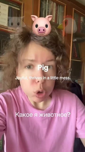 какой я зверек