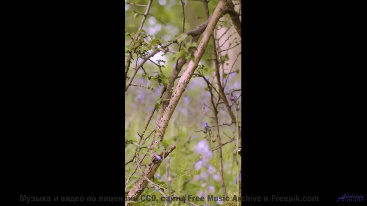 Музыка, которая заменит вам 8 часов сна - проверено! - Never Miss A Moment -- Scott Holmes Music --