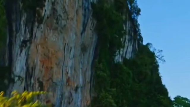 Машина времени